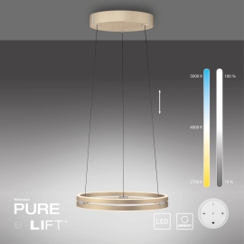 Lampa wisząca PURE E-LOOP 2550-60