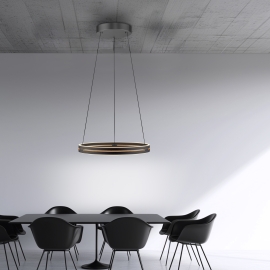 Lampa wisząca PURE E-LOOP 2551-18