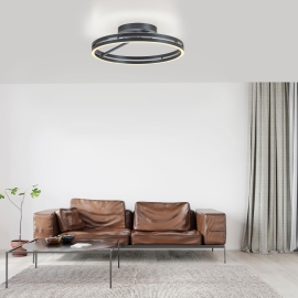 Lampa sufitowa PURE E-LOOP 6552-15