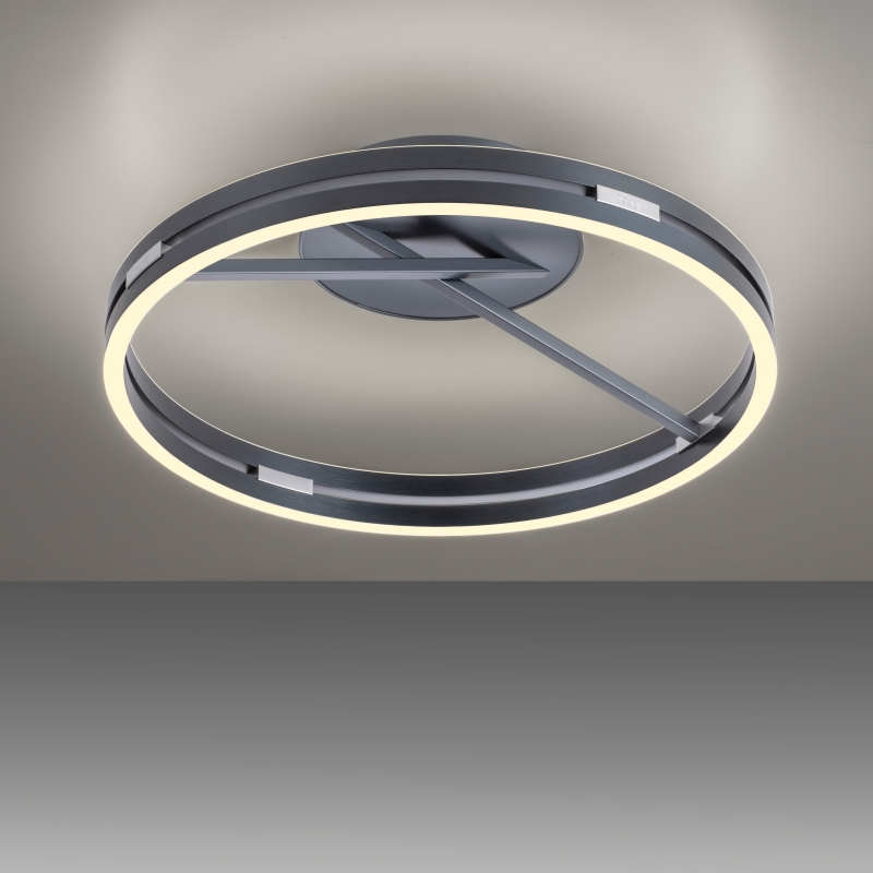 Lampa sufitowa PURE E-LOOP 6552-15