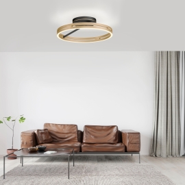 Lampa sufitowa PURE E-LOOP 6552-68