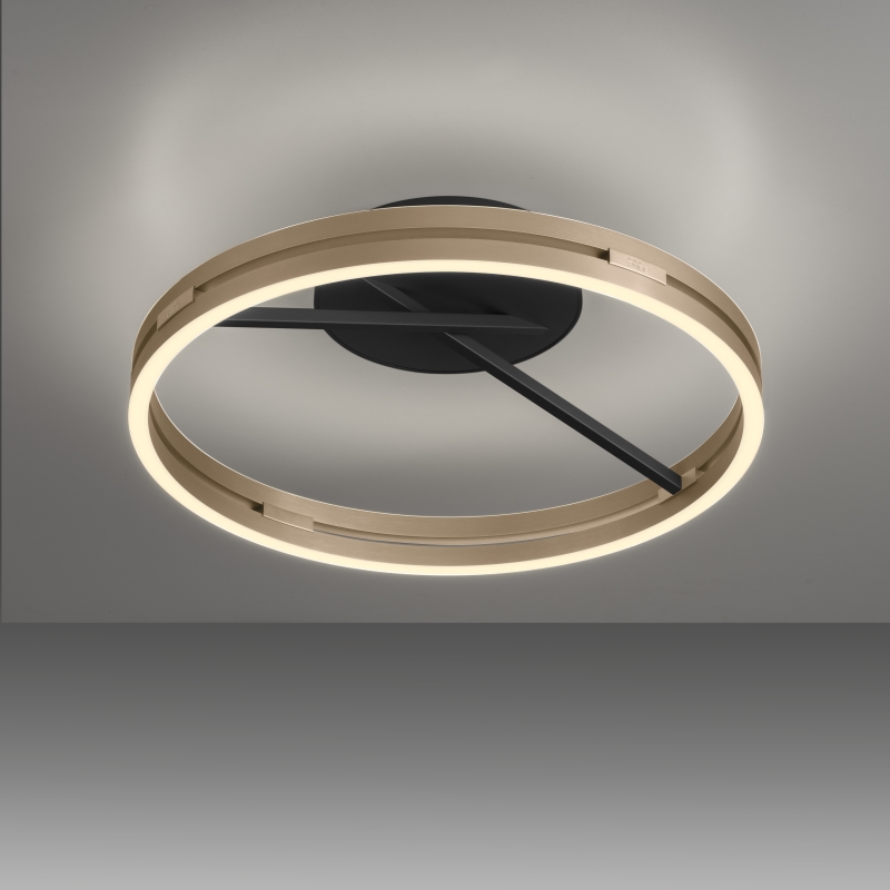 Lampa sufitowa PURE E-LOOP 6552-68