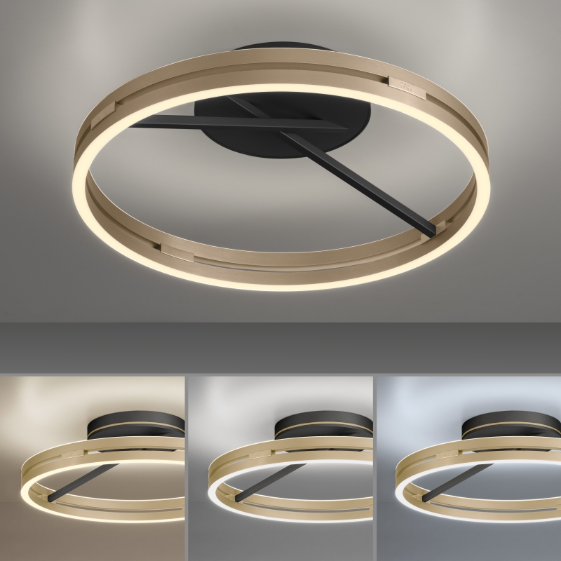 Lampa sufitowa PURE E-LOOP 6552-68