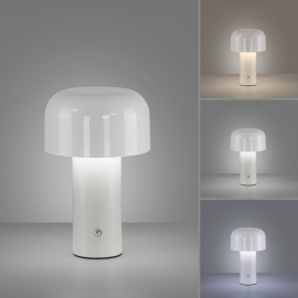 Lampa stołowa AGNES 19190-16