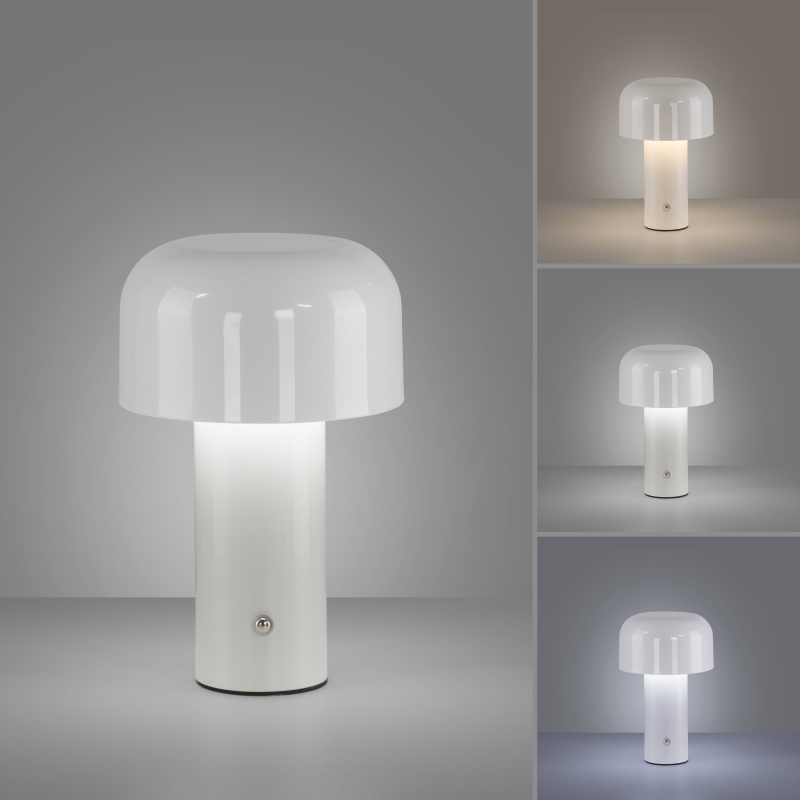 Lampa stołowa AGNES 19190-16