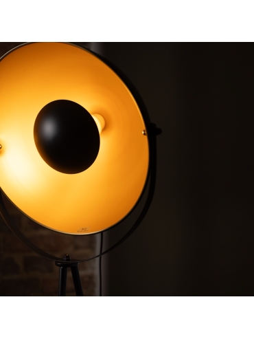 Lampa podłogowa LARC F16019