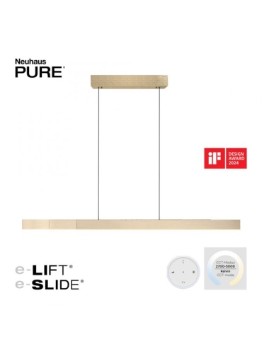 Lampa wisząca PURE MOTO-RISE 2545-60