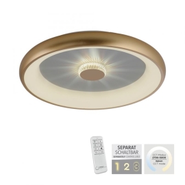 Lampa sufitowa VERTIGO 14386-60