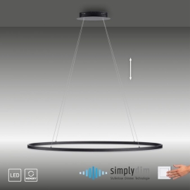 Lampa wisząca TITUS 2393-13