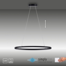 Lampa wisząca TITUS 2392-13