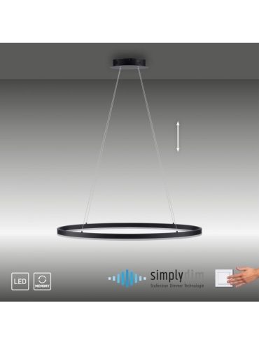 Lampa wisząca TITUS 2392-13