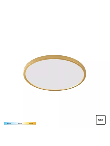 Lampa sufitowa CAMI WM-BP1108-S-G