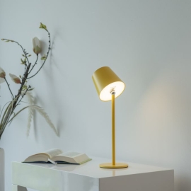 Lampa stołowa BOTERIA 19251-81