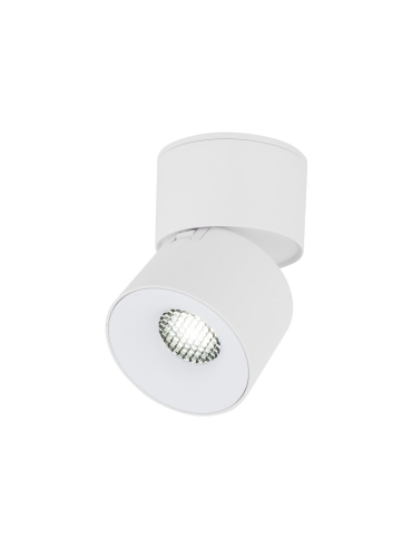 Spot SPARK WHITE CCT 18168