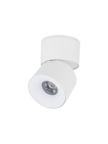 Spot SPARK WHITE CCT 18168