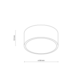 Lampa sufitowa LIVO 10983