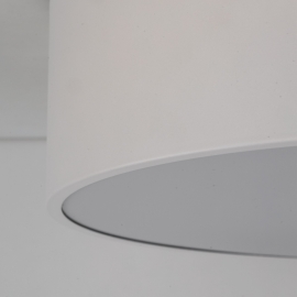 Lampa sufitowa LIVO 10983