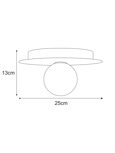 Lampa sufitowa K-5453  ROBIN