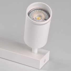 Lampa sufitowa PARIS 2 22289