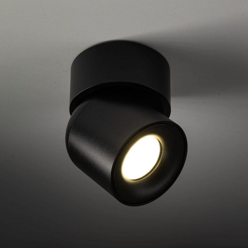 Reflektor zewnętrzny/łazienkowy TWIST 10575