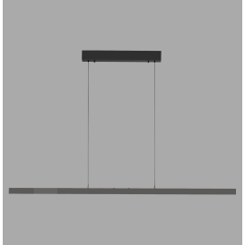 Lampa wisząca ADRIANA COMFORT LIFT 2598-13