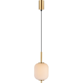 Lampa wisząca AKARI DU31288/6.5W