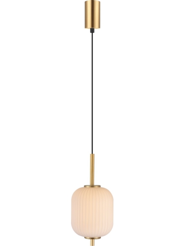 Lampa wisząca AKARI DU31288/6.5W