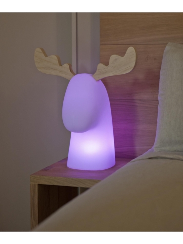 Lampa zewnętrzna RUDY 3139