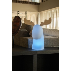 Lampa zewnętrzna RUDY 3139