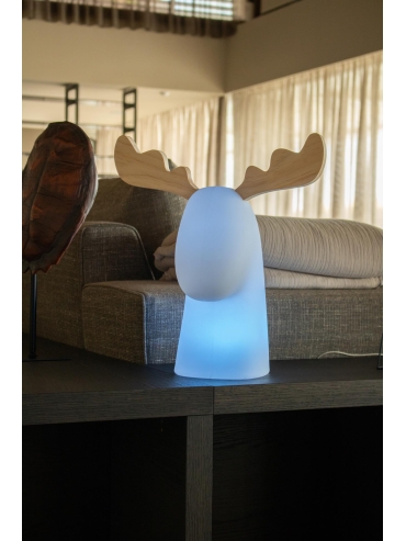 Lampa zewnętrzna RUDY 3139