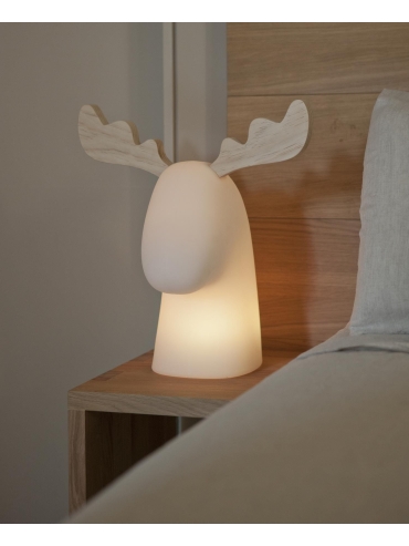 Lampa zewnętrzna RUDY 3139