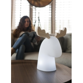 Lampa zewnętrzna RUDY 3139