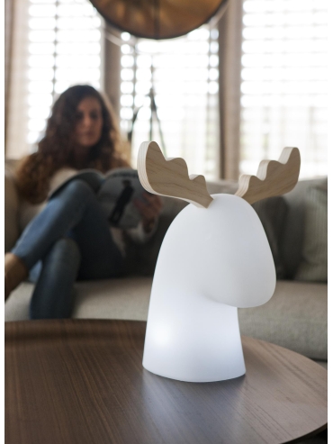 Lampa zewnętrzna RUDY 3139