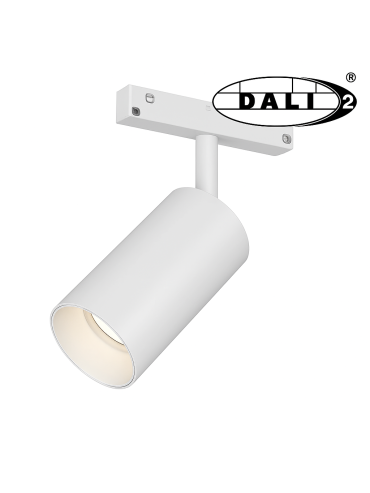 Reflektor magnetyczny DALI CCT 10113
