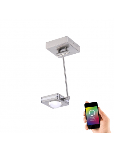 Lampa sufitowa Q-FISHEYE  6461-55
