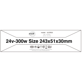 Zasilacz Ultra Slim 24V 300W 12.5A IP43 ULDR30