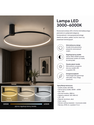 Lampa sufitowa HORIK 89429-60BK