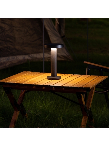 Lampa solarna CARLI DT33611