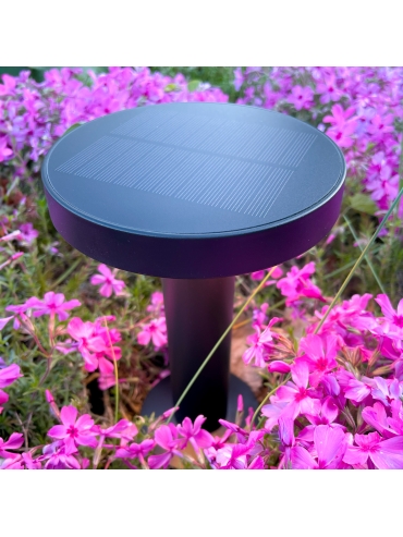 Lampa solarna CARLI DT33611